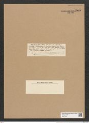 Rhaphoneis moluccensis Ehr. (de-Toni-Nr.: Genus 78, Species 2857) Zeichnungen Sammlung Grunow Nr. 5808 (NHMW-BOT-W0374221)